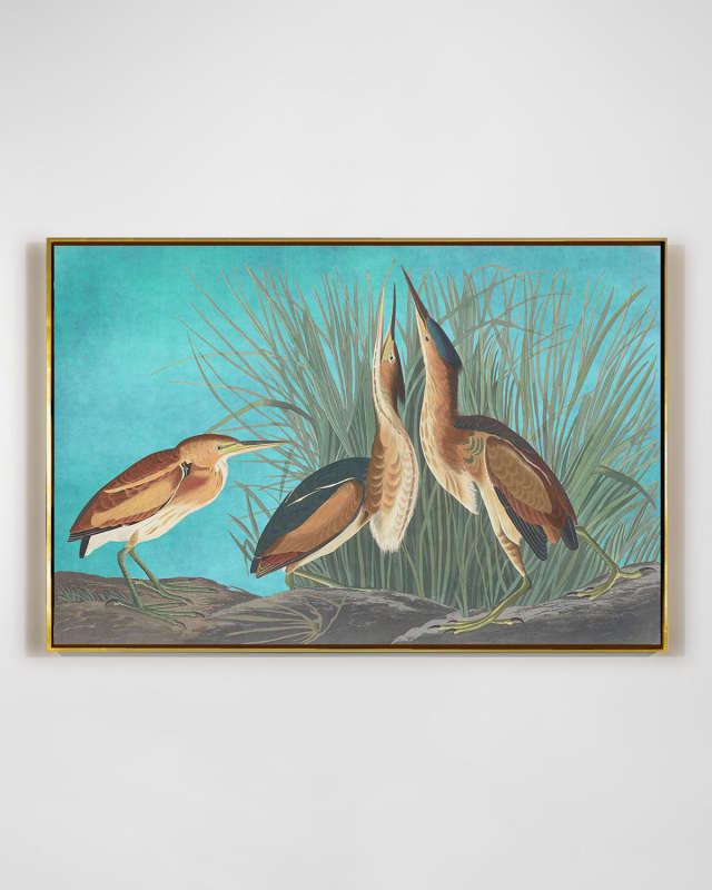 "Least Bittern" Wall Art